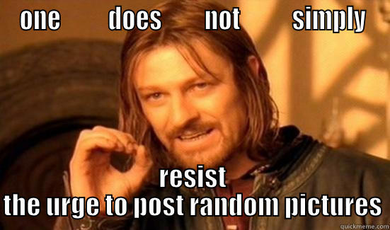 ONE          DOES         NOT           SIMPLY RESIST THE URGE TO POST RANDOM PICTURES Boromir