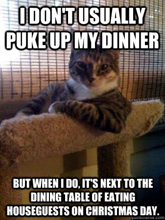 I don't usually puke up my dinner but when I do, it's next to the dining table of eating houseguests on Christmas Day.  The Most Interesting Cat in the World