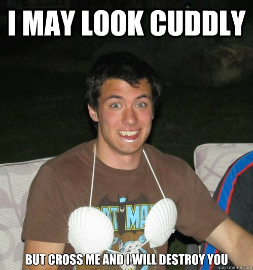 Cross Me And I Will Destroy You I may look cuddly but cross me and i will destroy you - Misc - quickmeme