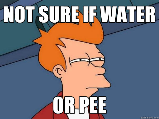 Not sure if water Or pee  Futurama Fry