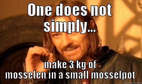 ONE DOES NOT SIMPLY... MAKE 3 KG OF MOSSELEN IN A SMALL MOSSELPOT Boromir