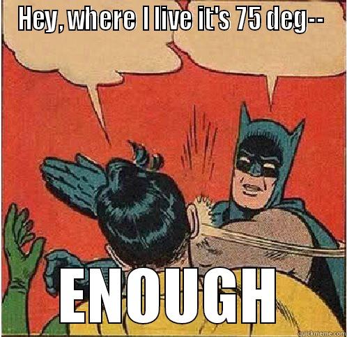 HEY, WHERE I LIVE IT'S 75 DEG-- ENOUGH Batman Slapping Robin
