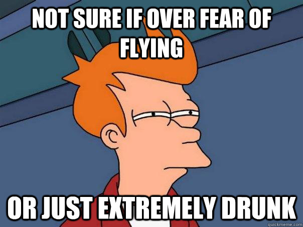 Not sure if over fear of flying Or just extremely drunk - Not sure if over fear of flying Or just extremely drunk  Futurama Fry