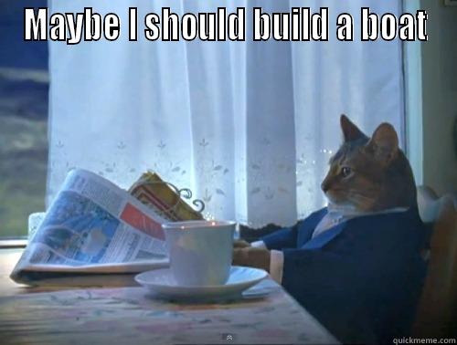 MAYBE I SHOULD BUILD A BOAT  The One Percent Cat