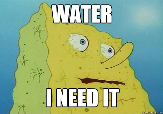 I NEED IT WATER  Spongebob water