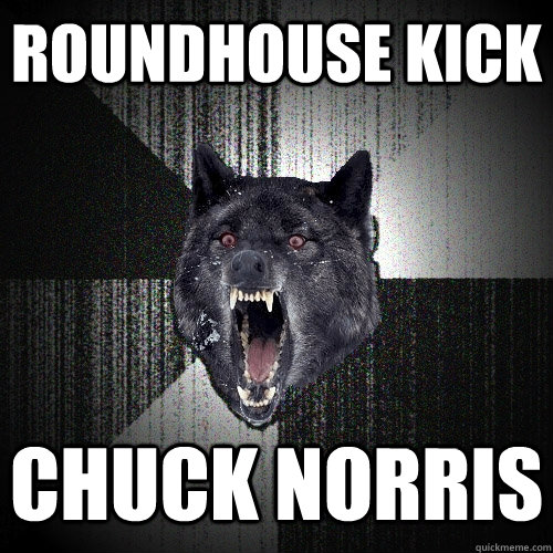 roundhouse kick chuck norris - roundhouse kick chuck norris  Insanity Wolf