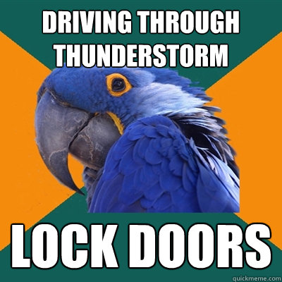 Driving Through Thunderstorm lock doors  Paranoid Parrot