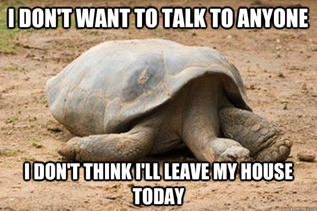 I don't want to talk to anyone I don't think I'll leave my house today  Depression Turtle