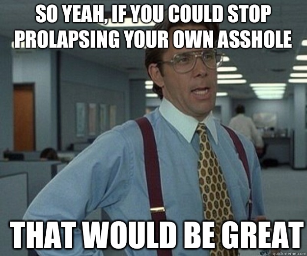 So yeah, if you could stop prolapsing your own asshole THAT WOULD BE GREAT  that would be great