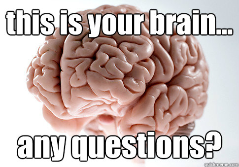 this is your brain... any questions?  Scumbag Brain