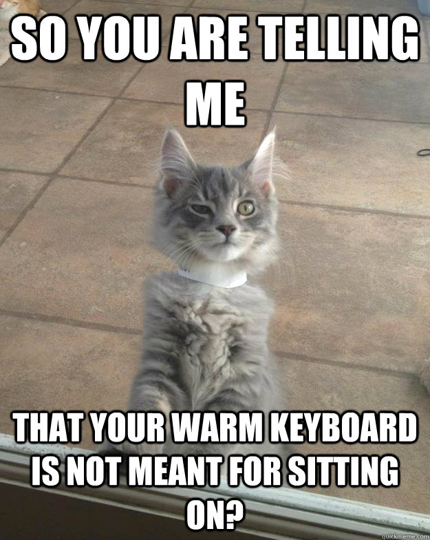 So you are telling me that your warm keyboard is not meant for sitting on? - So you are telling me that your warm keyboard is not meant for sitting on?  Misc