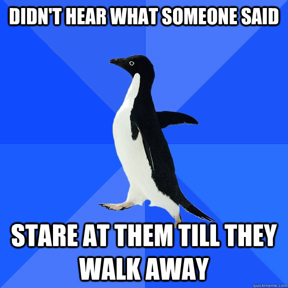 Didn't hear what someone said stare at them till they walk away  Socially Awkward Penguin