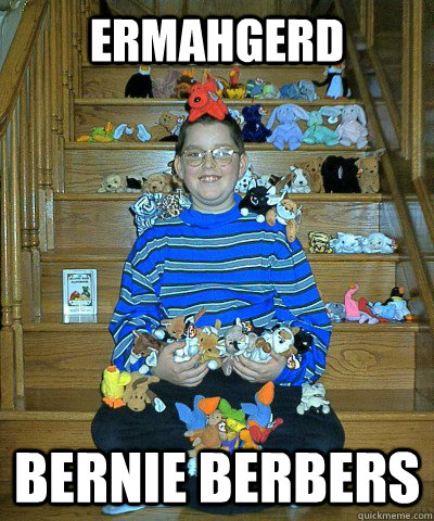 ERMAHGERD Bernie berbers  Beanie Babies kid