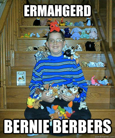 ERMAHGERD Bernie berbers - ERMAHGERD Bernie berbers  Beanie Babies kid