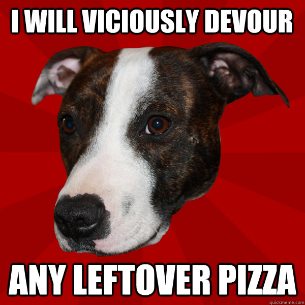 I will viciously devour any leftover pizza  Vicious Pitbull Meme