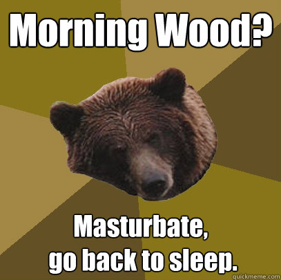 Morning Wood? Masturbate,
 go back to sleep.  Lazy Bachelor Bear