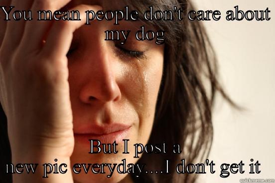YOU MEAN PEOPLE DON'T CARE ABOUT MY DOG BUT I POST A NEW PIC EVERYDAY....I DON'T GET IT  First World Problems