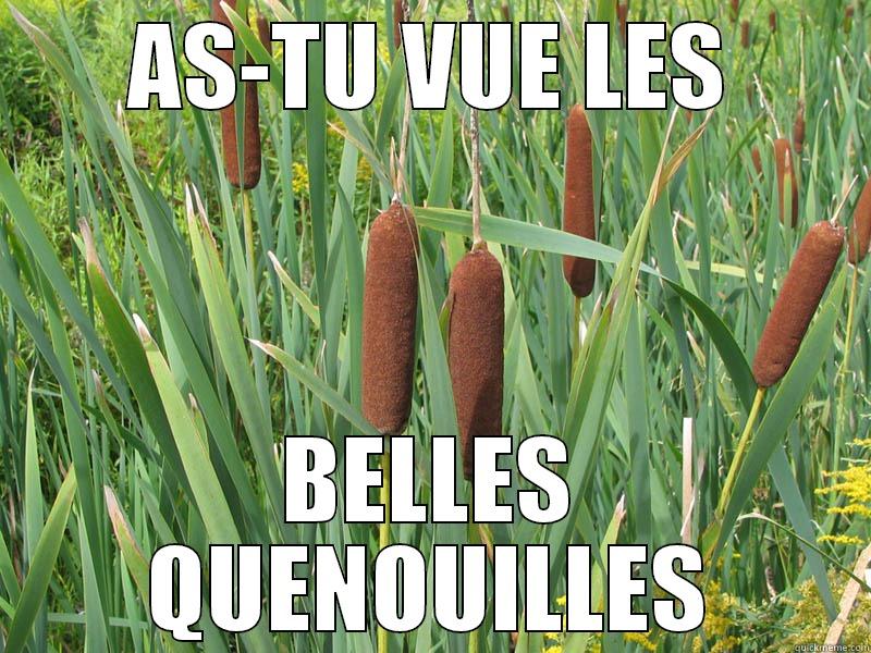 As tu vue cette belle quenouilles - AS-TU VUE LES BELLES QUENOUILLES Misc