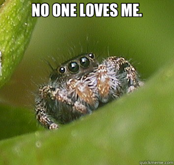 NO ONE LOVES ME.   Misunderstood Spider