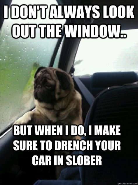 I don't always look out the window.. but when I do, I make sure to drench your  car in slober - I don't always look out the window.. but when I do, I make sure to drench your  car in slober  Introspective Pug