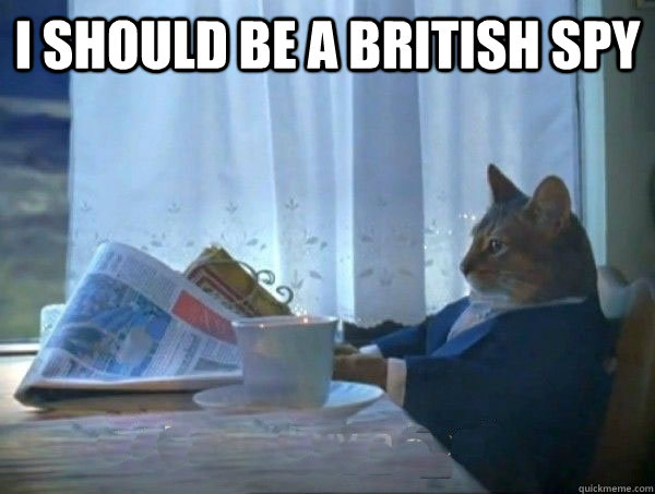 I should be a british spy  - I should be a british spy   morning realization newspaper cat meme