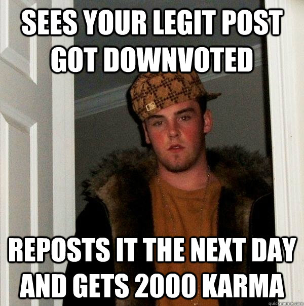 Sees your legit post got downvoted Reposts it the next day and gets 2000 karma  Scumbag Steve
