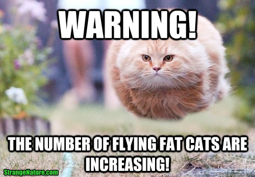 Warning! The number of flying fat cats are increasing!  