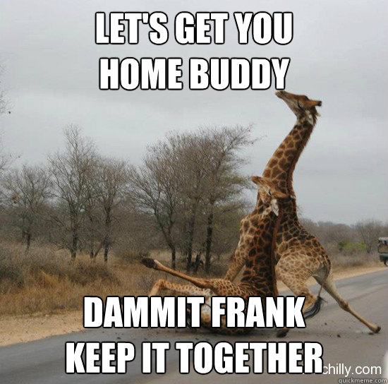 Let's get you 
home buddy Dammit Frank 
Keep it together - Let's get you 
home buddy Dammit Frank 
Keep it together  Giraffe