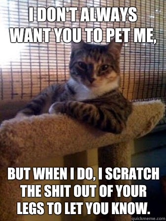 I don't always want you to pet me, but when I do, I scratch the shit out of your legs to let you know.  The Most Interesting Cat in the World