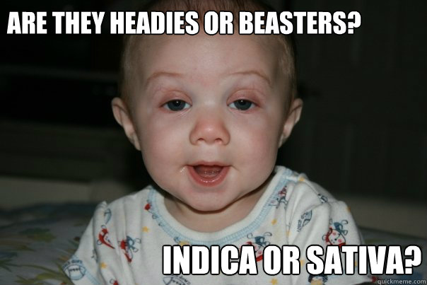 are they headies or beasters? indica or sativa?  