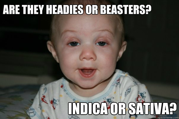 are they headies or beasters? indica or sativa? - are they headies or beasters? indica or sativa?  Suprised Baby