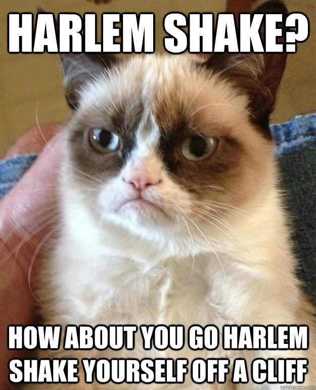 Harlem Shake? How about you go Harlem Shake yourself off a cliff  grumpycat