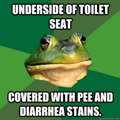 Underside of toilet seat Covered with pee and diarrhea stains.  Foul Bachelor Frog