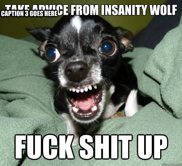 TAKE ADVICE FROM INSANITY WOLF FUCK SHIT UP Caption 3 goes here  Chihuahua Logic