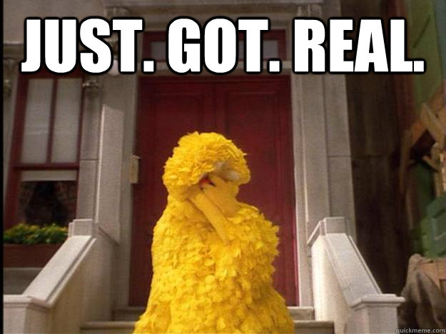 JUST. GOT. REAL.   Big Bird