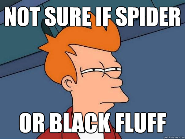 not sure if spider or black fluff  Futurama Fry