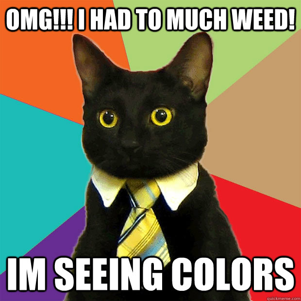 OMG!!! I had to much weed! im seeing colors  Business Cat