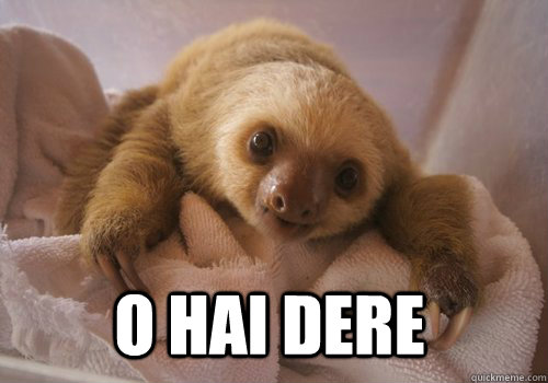 O hai dere  - O hai dere   baby sloth