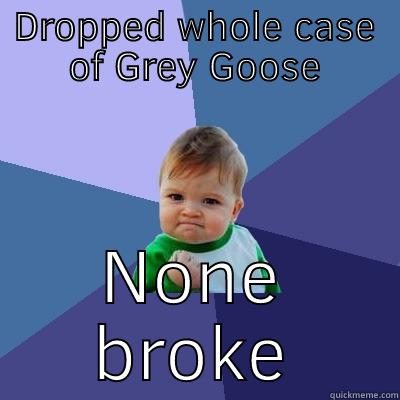 DROPPED WHOLE CASE OF GREY GOOSE NONE BROKE Success Kid