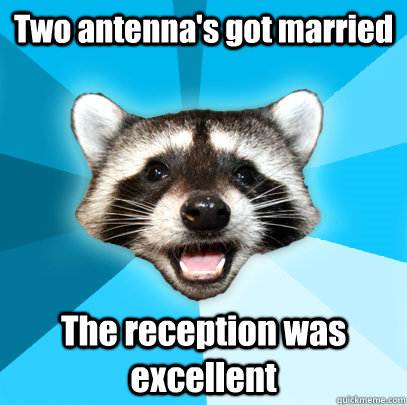 Two antenna's got married The reception was excellent  Lame Pun Coon