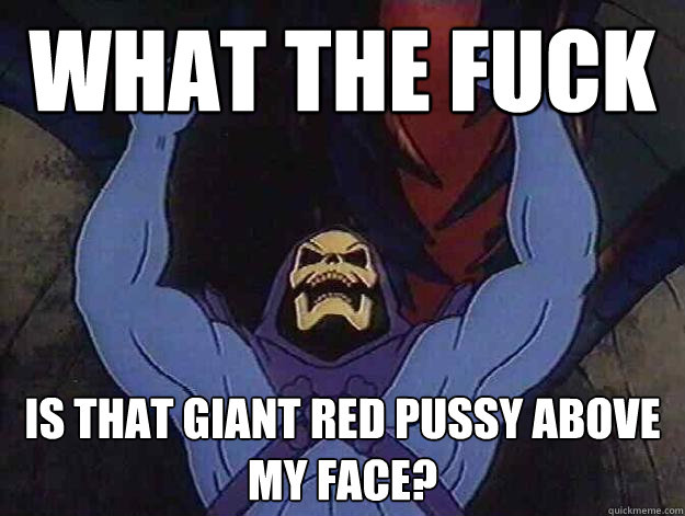 what the fuck is that giant red pussy above my face? - what the fuck is that giant red pussy above my face?  Angry Skeletor