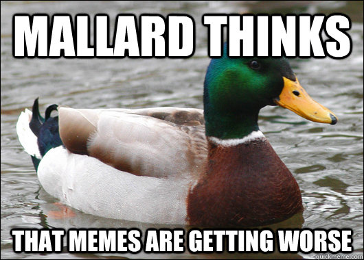 Mallard thinks That memes are getting worse  Actual Advice Mallard