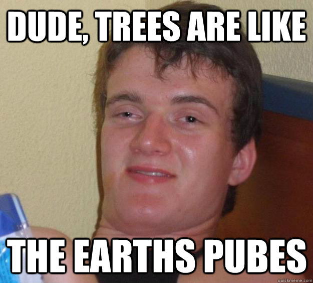 Dude, trees are like the earths pubes - Dude, trees are like the earths pubes  10 Guy