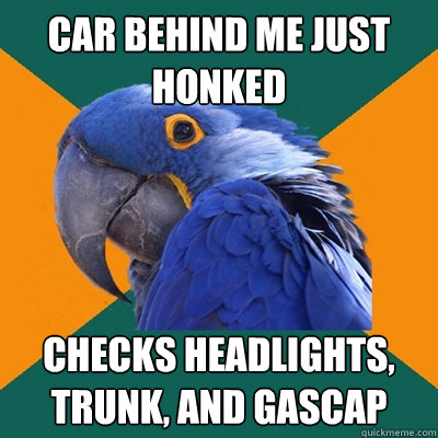 Car behind me just honked checks headlights, trunk, and gascap  Paranoid Parrot