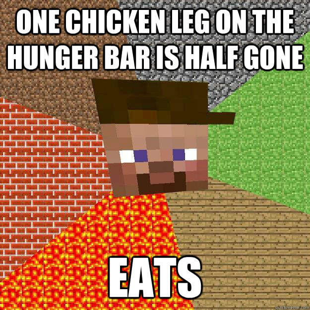 One chicken leg on the hunger bar is half gone eats  Scumbag minecraft