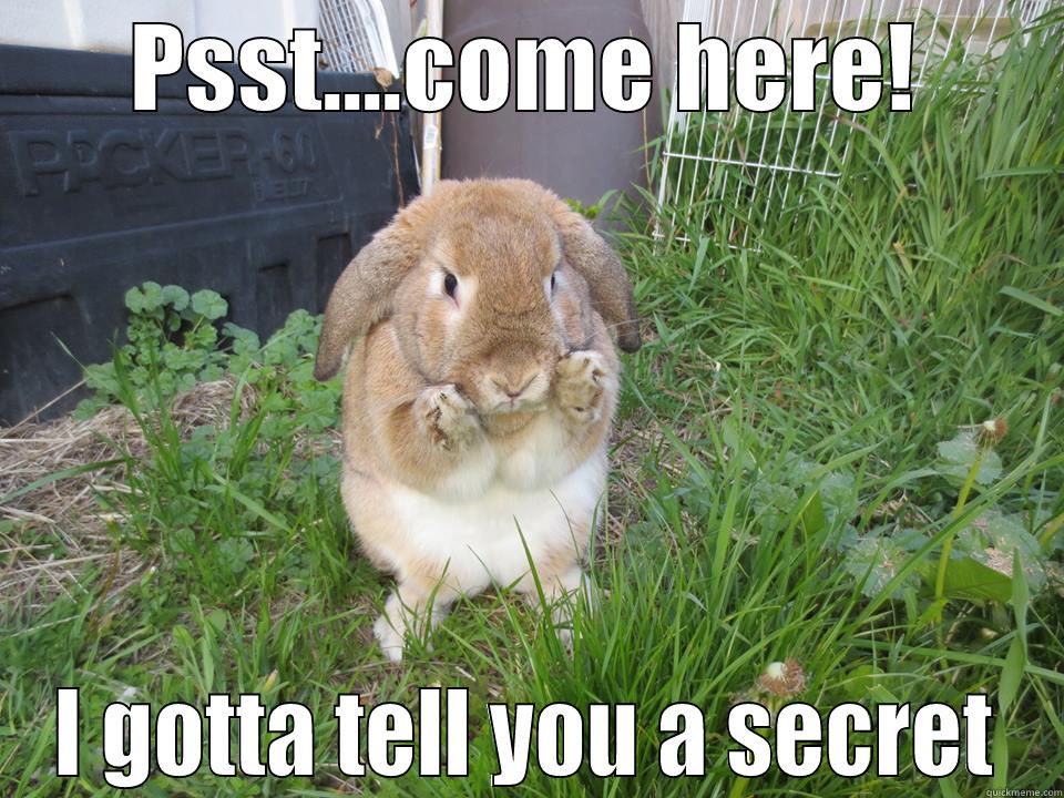 I've got a secret - PSST....COME HERE! I GOTTA TELL YOU A SECRET Misc