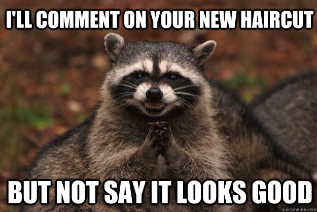 I'll comment on your new haircut But not say it looks good  evil racoon