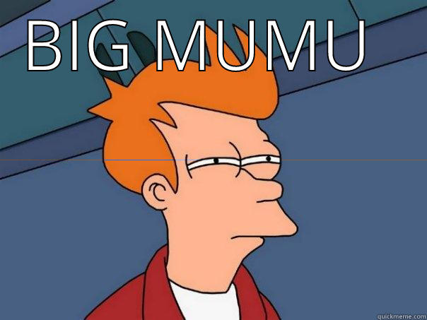 BIG MUMU   Futurama Fry