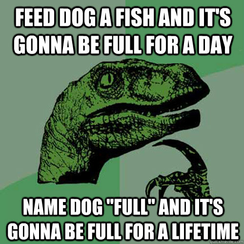 Feed dog a fish and it's gonna be full for a day name dog 