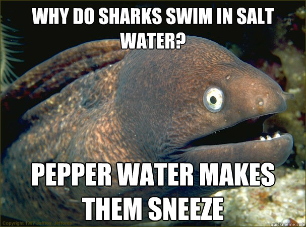 Why do sharks swim in salt water? pepper water makes them sneeze - Why do sharks swim in salt water? pepper water makes them sneeze  Bad Joke Eel